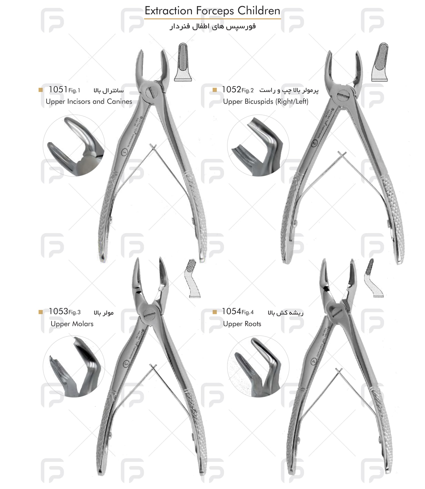 forceps